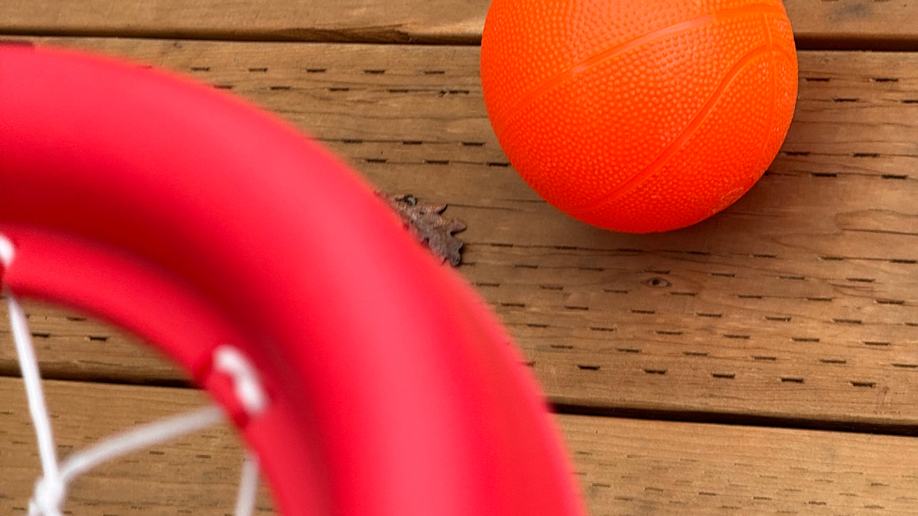 Toy Basketball and Hoop